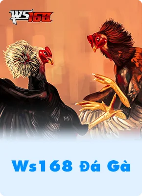 Ws168 Đá Gà